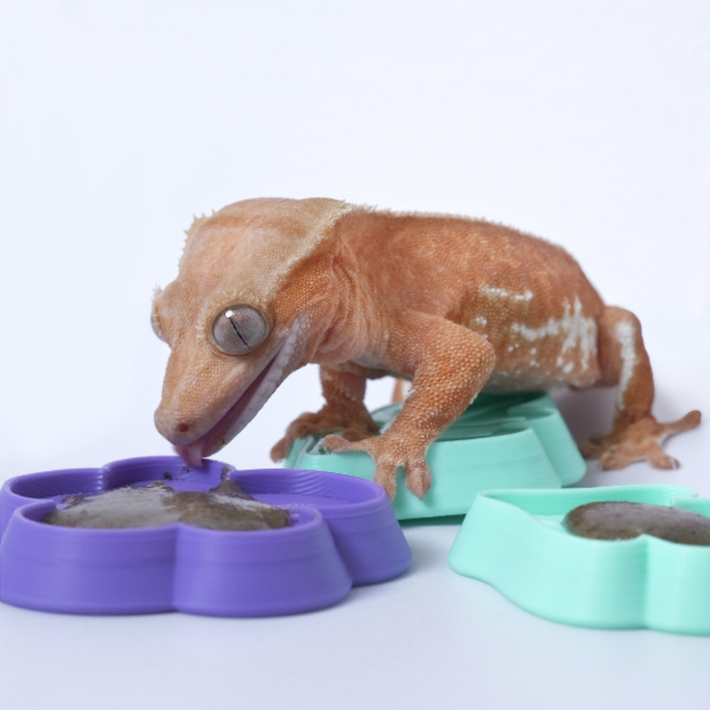 3D Printing Lizard - Reptile Feeding Dish, 3D Printed Flower