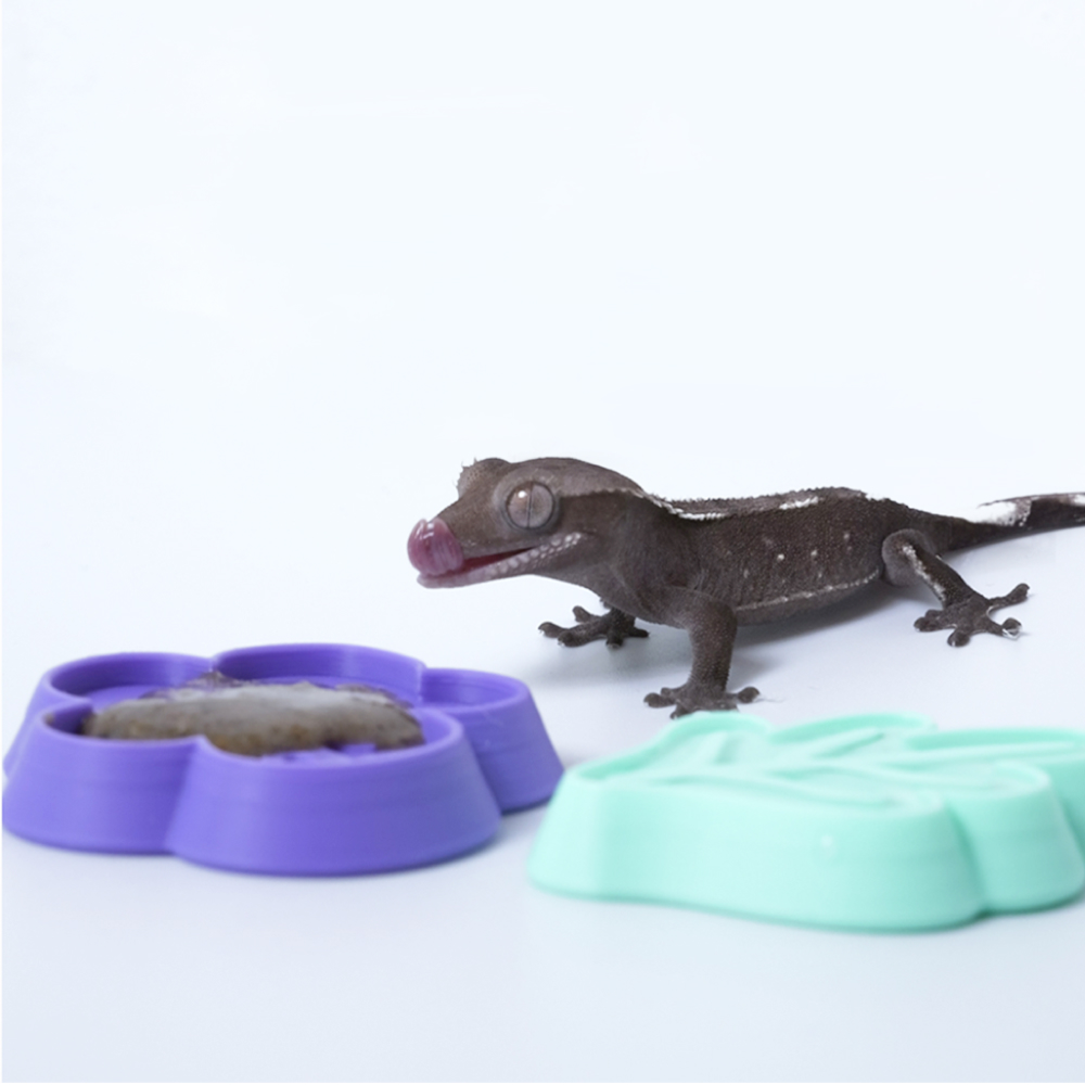 Reptile Feeding Dish, 3D Print – обзор и цена 3D Printing Lizard