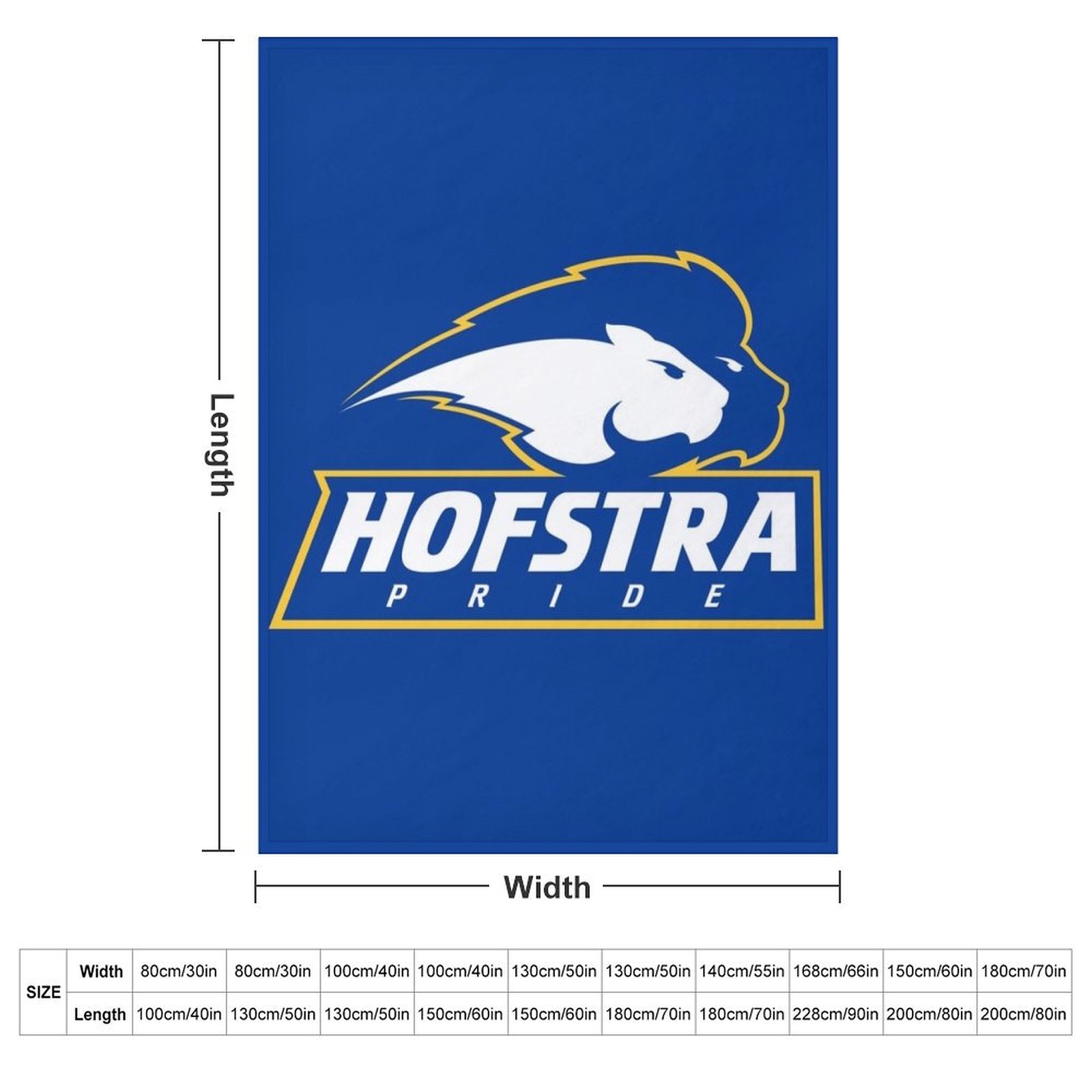 Cool Hofstra Icon Throw Blanke – обзор и цена 3D Printing Icon