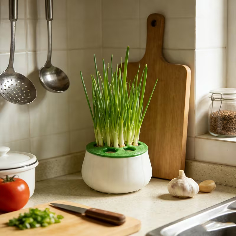 Green Onion Regeneration Plant – обзор и цена 3D Printing Online