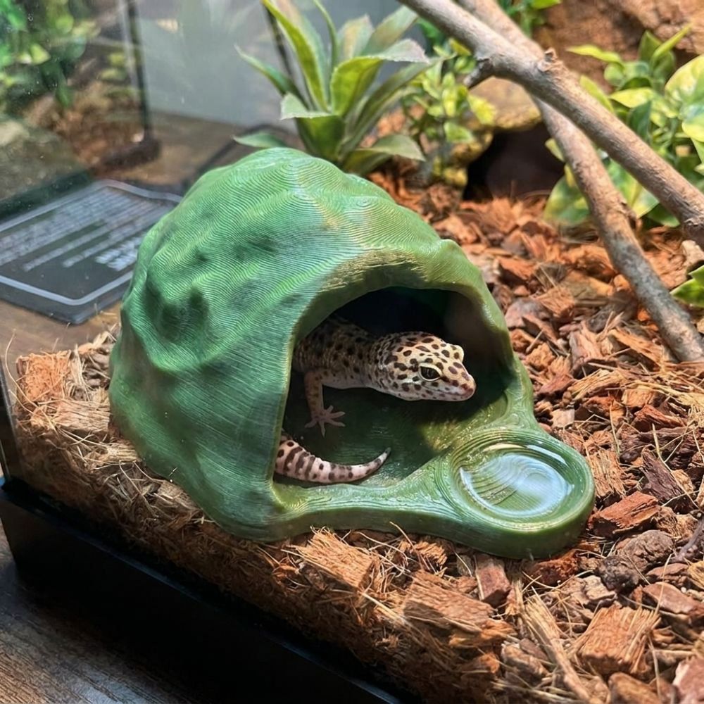 Unique Simulation Rock Reptile – обзор и цена 3D Printing Lizard